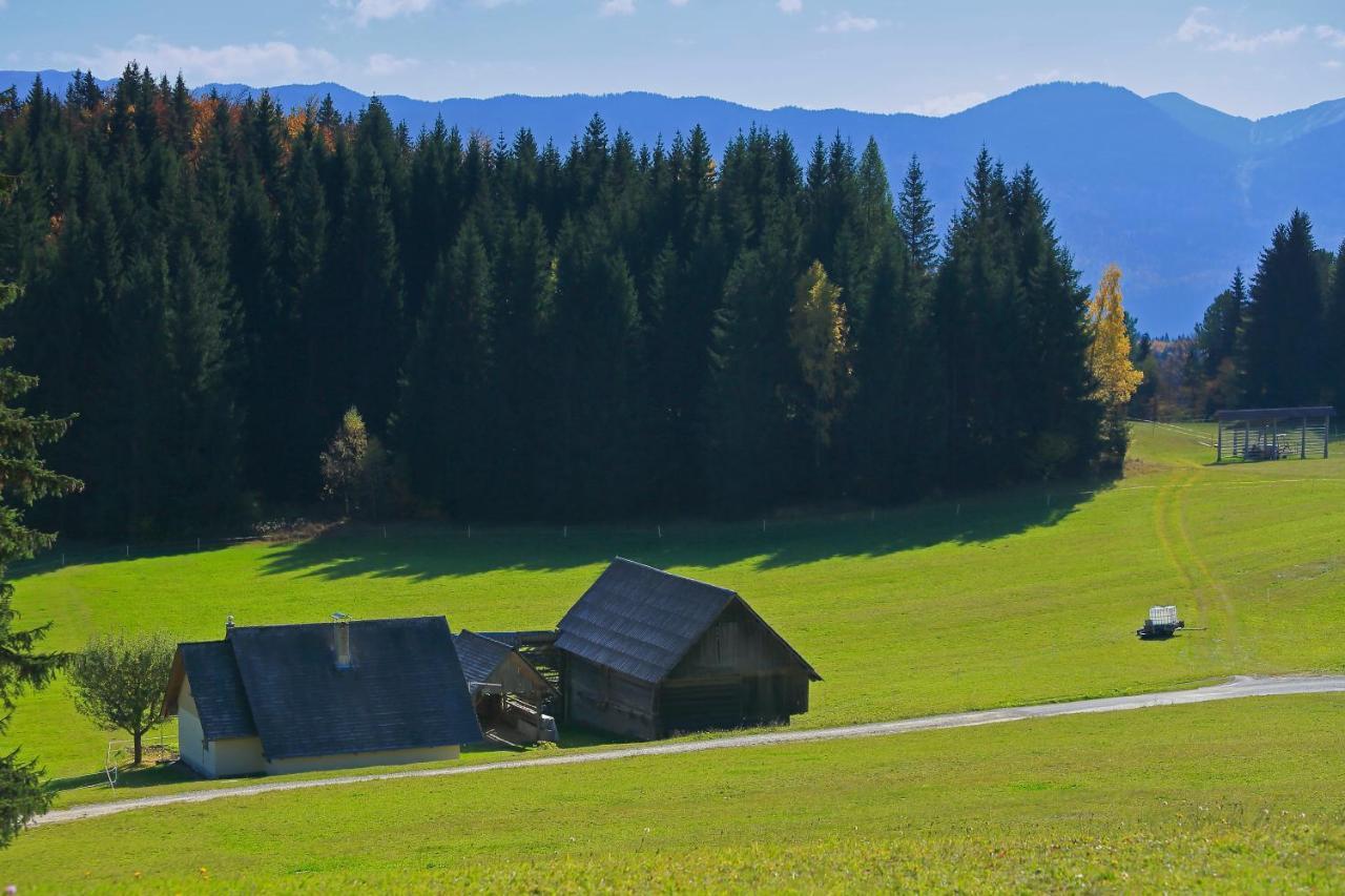 Cottage Zoja Bohinjska Bistrica Екстериор снимка